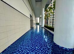 Haig 162 (D15), Apartment #569787421